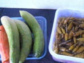 泡椒娱乐瓜地吃瓜