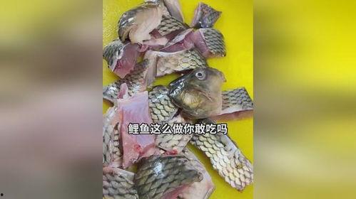 吃瓜娱乐小鲤鱼视频,趣味视频引网友热议
