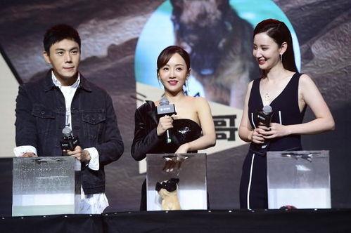 娱乐圈吃瓜爆料合集网盘,网盘收录吃瓜爆料合集大揭秘