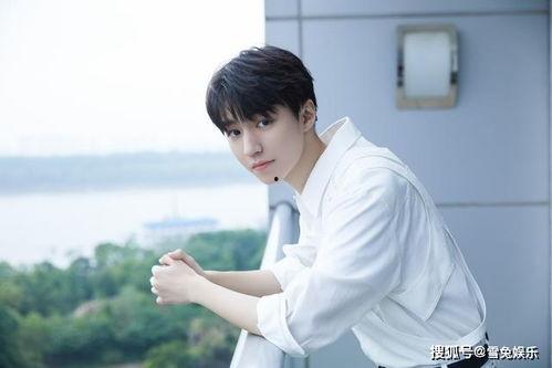 吃瓜娱乐圈王俊凯,娱乐圈的瓜田明星